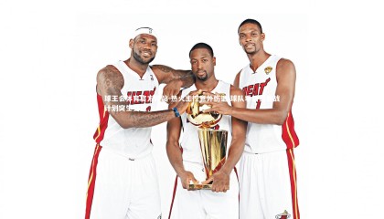 球王会体育官方网站-热火主控意外伤退 球队季后赛备战计划突生变数