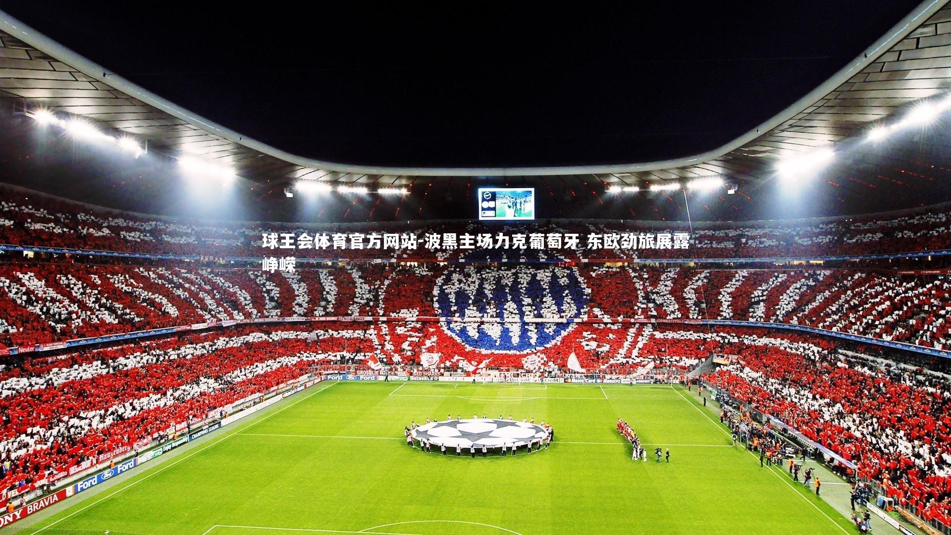 波黑主场力克葡萄牙 东欧劲旅展露峥嵘