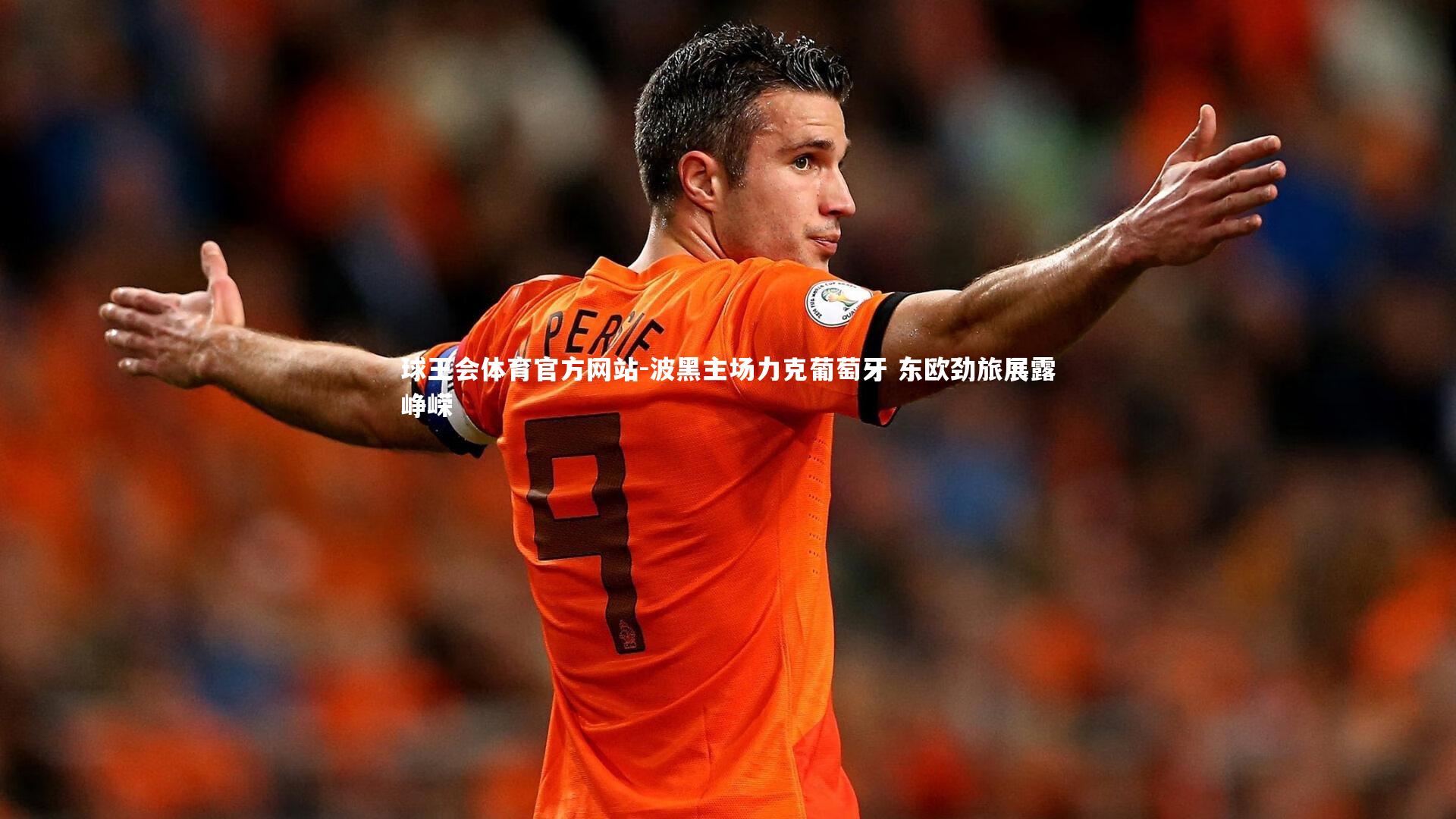 波黑主场力克葡萄牙 东欧劲旅展露峥嵘